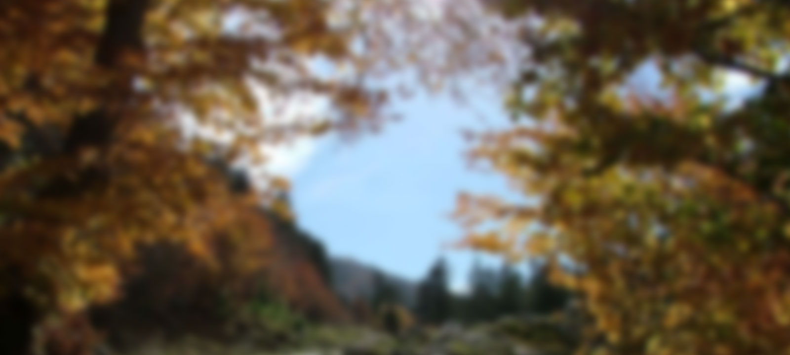 image-header-background